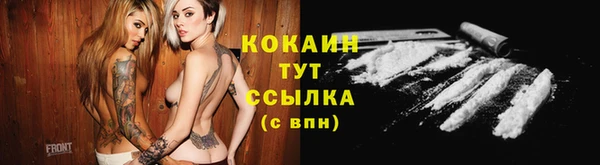 твердый Горно-Алтайск