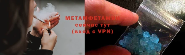 сатива Ростов