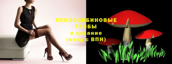 твердый Горно-Алтайск