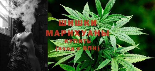 прущая мука Вяземский