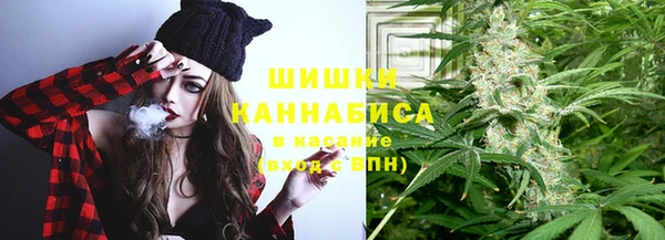 твердый Горно-Алтайск