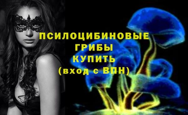 мяу мяу мука Вязники